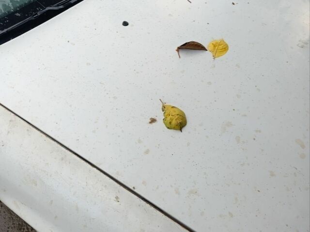 Опель Астра 1998 в Снигиревке на Automoto.ua Белый Опель Астра, объемом двигателя 1.7 л и пробегом 36 тыс. км за 720 $, фото 1 на Automoto.ua