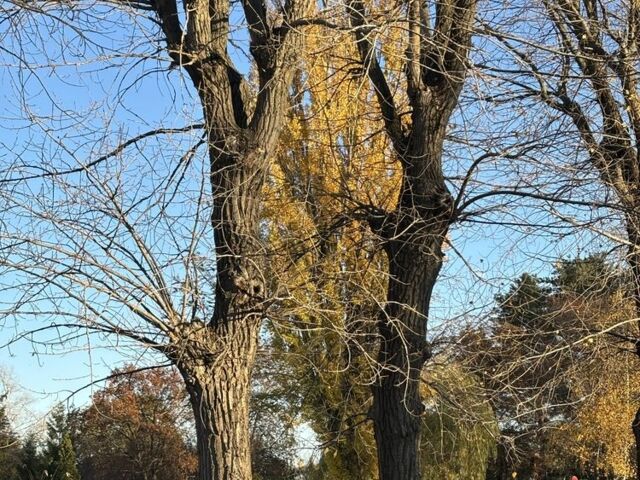 Опель Астра 2005 в Кременчуге на Automoto.ua Черный Опель Астра, объемом двигателя 0 л и пробегом 31 тыс. км за 2200 $, фото 3 на Automoto.ua