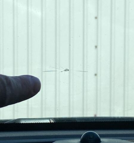 Чорний Опель Астра, об'ємом двигуна 1.6 л та пробігом 249 тис. км за 10700 $, фото 40 на Automoto.ua