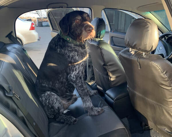 Сірий Опель Астра, об'ємом двигуна 1.39 л та пробігом 252 тис. км за 3850 $, фото 15 на Automoto.ua