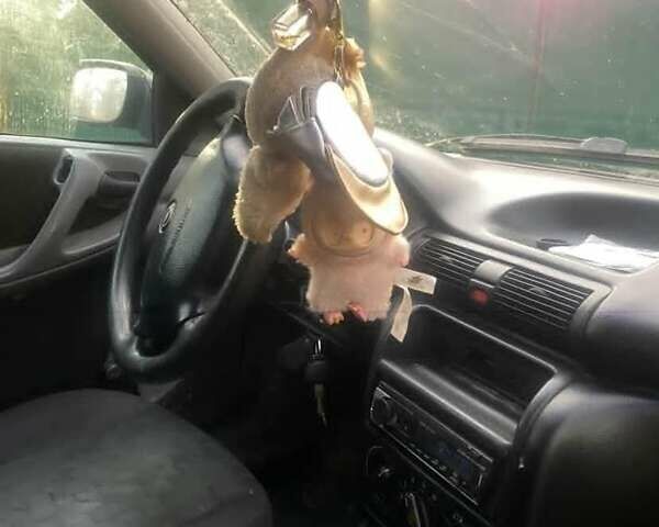 Синий Опель Астра, объемом двигателя 1.7 л и пробегом 350 тыс. км за 700 $, фото 3 на Automoto.ua