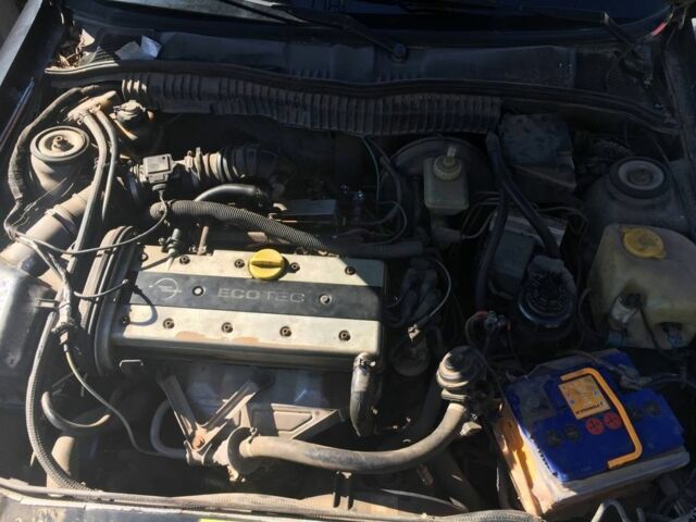 Черный Опель Калибра, объемом двигателя 2 л и пробегом 300 тыс. км за 1700 $, фото 5 на Automoto.ua