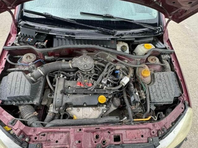 Опель Корса 2002 в Бурштыне на Automoto.ua Красный Опель Корса, объемом двигателя 1.2 л и пробегом 250 тыс. км за 1920 $, фото 5 на Automoto.ua