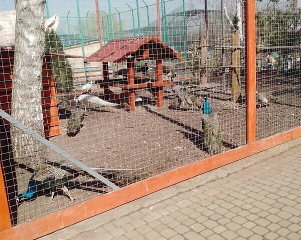 Опель Корса 2002 в Волочиске на Automoto.ua Зеленый Опель Корса, объемом двигателя 1 л и пробегом 350 тыс. км за 3000 $, фото 5 на Automoto.ua