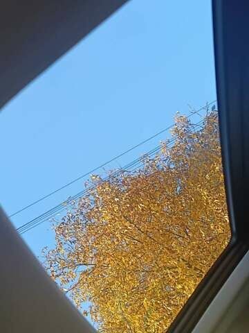 Білий Опель Інсігнія, об'ємом двигуна 1.96 л та пробігом 333 тис. км за 5900 $, фото 14 на Automoto.ua