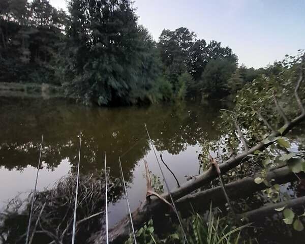 Белый Опель Инсигния, объемом двигателя 1.96 л и пробегом 176 тыс. км за 8200 $, фото 9 на Automoto.ua