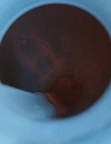 Білий Опель Інсігнія, об'ємом двигуна 1.6 л та пробігом 153 тис. км за 16545 $, фото 91 на Automoto.ua