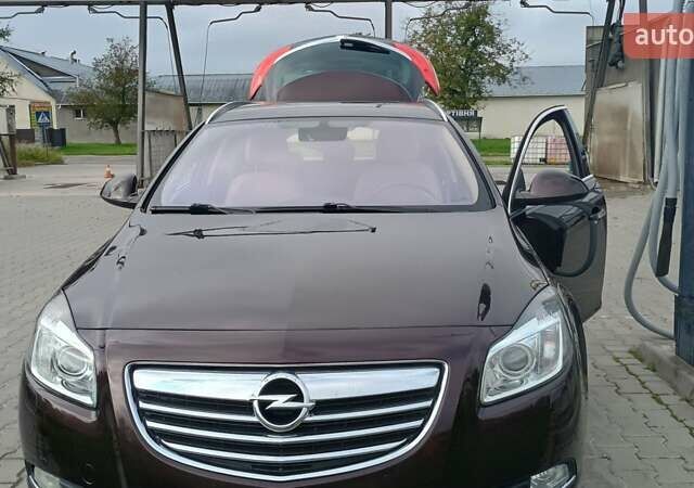 Коричневый Опель Инсигния, объемом двигателя 1.96 л и пробегом 276 тыс. км за 8900 $, фото 12 на Automoto.ua