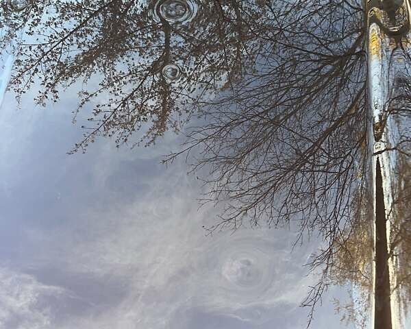 Коричневый Опель Инсигния, объемом двигателя 1.96 л и пробегом 235 тыс. км за 9500 $, фото 7 на Automoto.ua