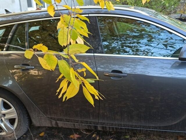 Опель Інсігнія 2009 у Кагарлыке на Automoto.ua Сірий Опель Інсігнія, об'ємом двигуна 2 л та пробігом 300 тис. км за 6500 $, фото 1 на Automoto.ua