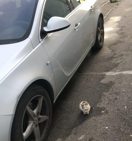 Серый Опель Инсигния, объемом двигателя 2 л и пробегом 260 тыс. км за 8000 $, фото 2 на Automoto.ua