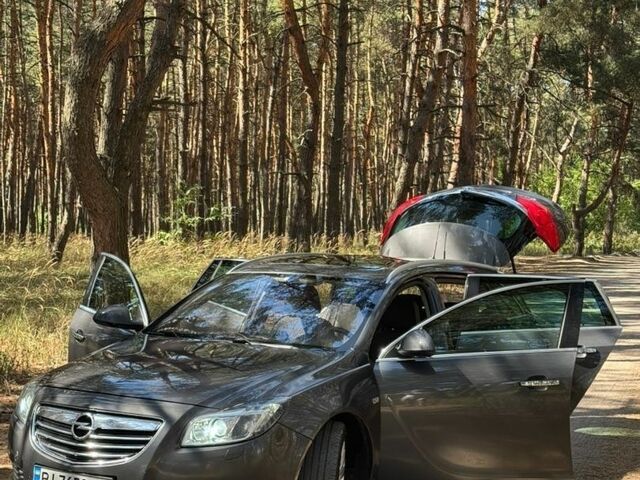 Серый Опель Инсигния, объемом двигателя 2 л и пробегом 345 тыс. км за 5900 $, фото 22 на Automoto.ua