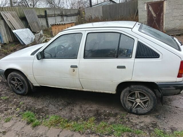 Белый Опель Кадет, объемом двигателя 0 л и пробегом 446 тыс. км за 500 $, фото 6 на Automoto.ua