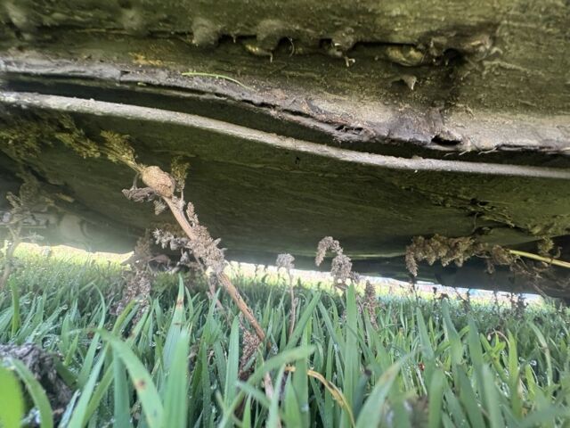 Черный Опель Кадет, объемом двигателя 1.6 л и пробегом 428 тыс. км за 713 $, фото 5 на Automoto.ua