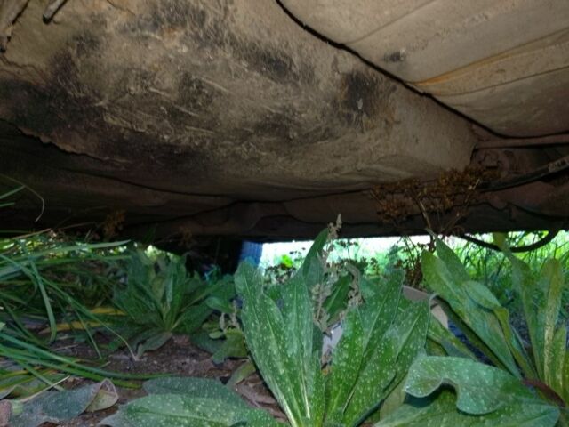 Червоний Опель Кадет, об'ємом двигуна 0 л та пробігом 58 тис. км за 300 $, фото 6 на Automoto.ua