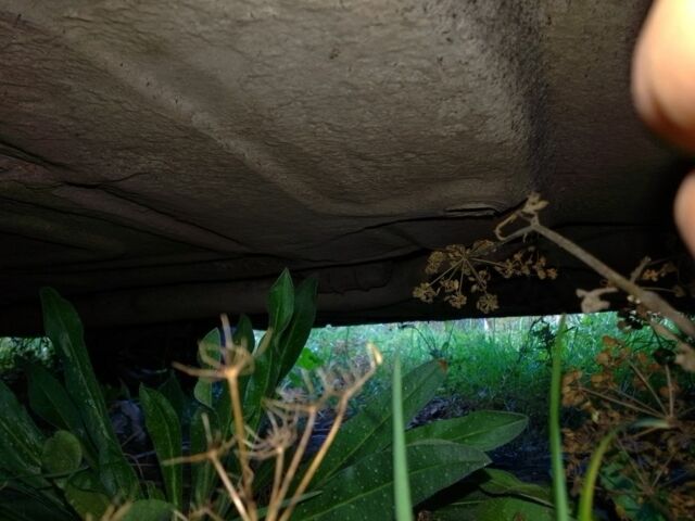 Червоний Опель Кадет, об'ємом двигуна 0 л та пробігом 58 тис. км за 300 $, фото 7 на Automoto.ua