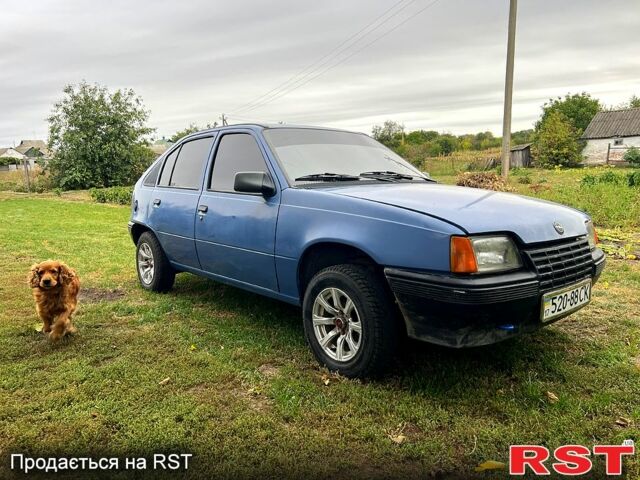 Опель Кадет, объемом двигателя 1.3 л и пробегом 30 тыс. км за 1600 $, фото 3 на Automoto.ua