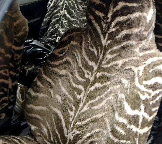 Опель Кадет, об'ємом двигуна 1.6 л та пробігом 138 тис. км за 800 $, фото 1 на Automoto.ua