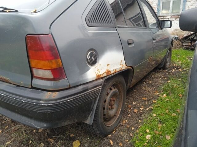 Серый Опель Кадет, объемом двигателя 0 л и пробегом 300 тыс. км за 381 $, фото 2 на Automoto.ua