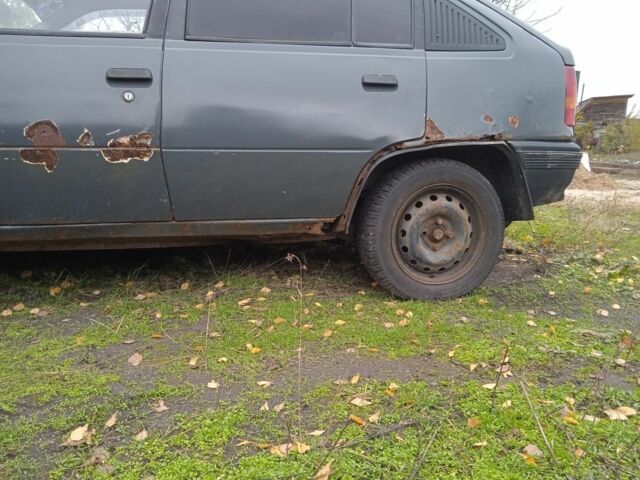 Серый Опель Кадет, объемом двигателя 0 л и пробегом 300 тыс. км за 381 $, фото 4 на Automoto.ua