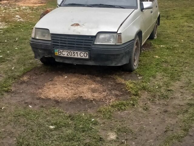 Серый Опель Кадет, объемом двигателя 1.3 л и пробегом 838 тыс. км за 450 $, фото 3 на Automoto.ua