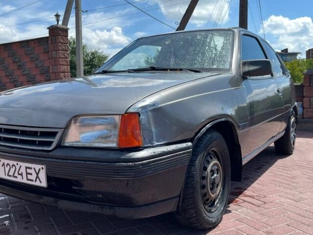 Серый Опель Кадет, объемом двигателя 0 л и пробегом 270 тыс. км за 461 $, фото 6 на Automoto.ua