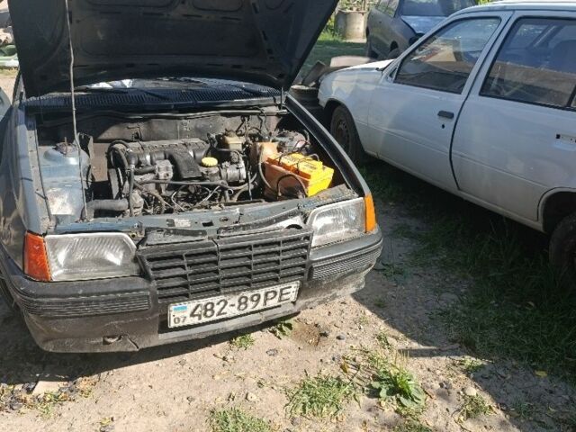 Сірий Опель Кадет, об'ємом двигуна 1.6 л та пробігом 400 тис. км за 25000 $, фото 1 на Automoto.ua