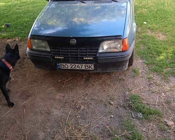 Синий Опель Кадет, объемом двигателя 1.3 л и пробегом 350 тыс. км за 950 $, фото 3 на Automoto.ua