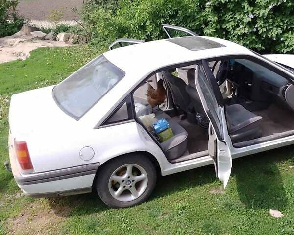 Опель Омега 1988 в Хмельницком на Automoto.ua Белый Опель Омега, объемом двигателя 2 л и пробегом 300 тыс. км за 1400 $, фото 1 на Automoto.ua