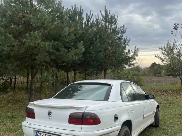 Опель Омега 1995 в Владимир-Волынский на Automoto.ua Белый Опель Омега, объемом двигателя 2 л и пробегом 200 тыс. км за 1400 $, фото 1 на Automoto.ua