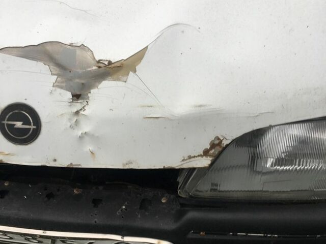 Белый Опель Омега, объемом двигателя 2 л и пробегом 3 тыс. км за 650 $, фото 4 на Automoto.ua