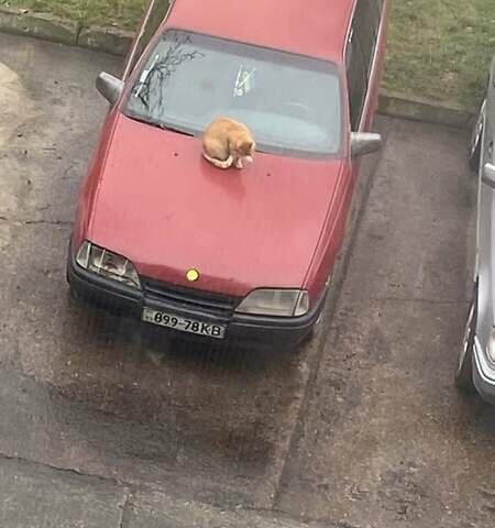 Червоний Опель Омега, об'ємом двигуна 2 л та пробігом 350 тис. км за 900 $, фото 5 на Automoto.ua