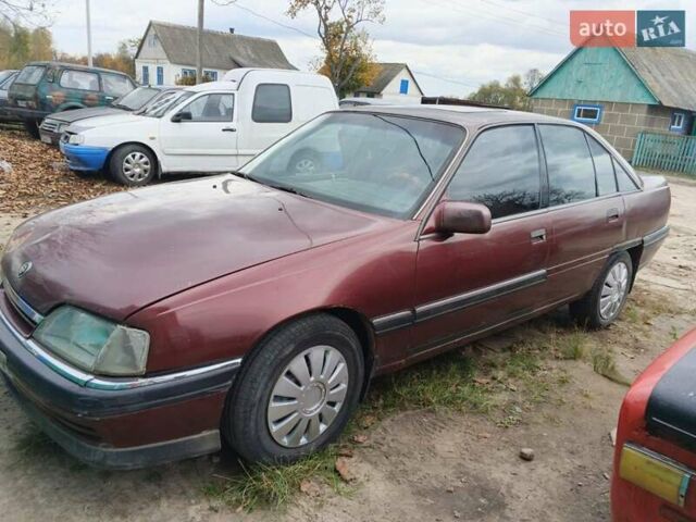 Опель Омега 1991 в Житомире на Automoto.ua Красный Опель Омега, объемом двигателя 2.6 л и пробегом 200 тыс. км за 1100 $, фото 1 на Automoto.ua