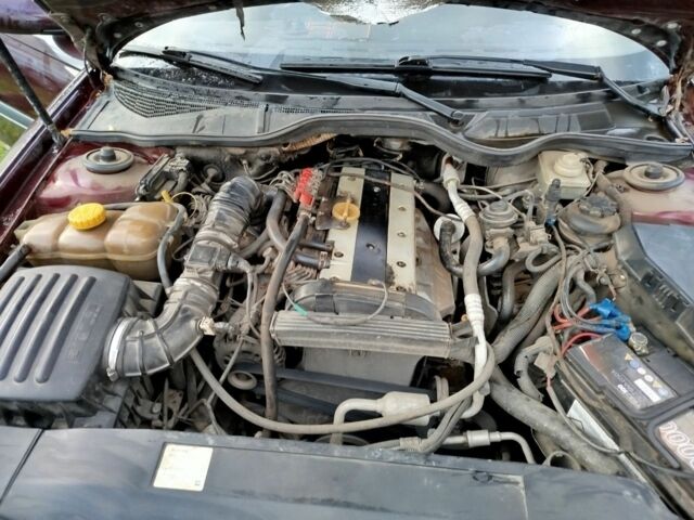 Опель Омега 1997 в Луцке на Automoto.ua Красный Опель Омега, объемом двигателя 2 л и пробегом 334 тыс. км за 2000 $, фото 8 на Automoto.ua