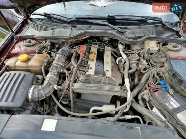 Опель Омега 1997 в Старая Выжевка на Automoto.ua Красный Опель Омега, объемом двигателя 2 л и пробегом 330 тыс. км за 2000 $, фото 11 на Automoto.ua