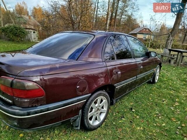 Опель Омега 1997 в Старая Выжевка на Automoto.ua Красный Опель Омега, объемом двигателя 2 л и пробегом 330 тыс. км за 2000 $, фото 3 на Automoto.ua