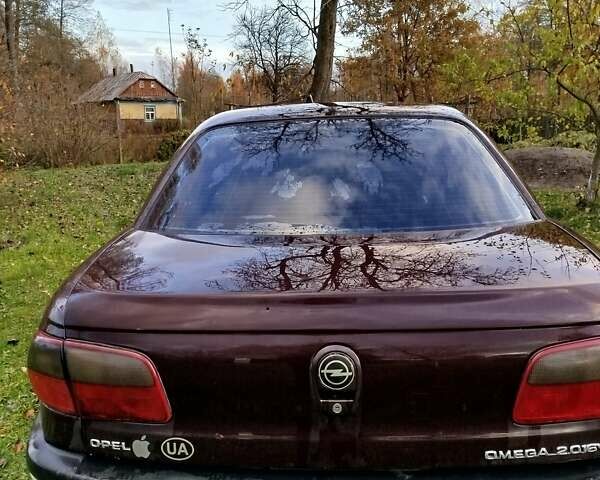 Опель Омега 1997 в Старая Выжевка на Automoto.ua Красный Опель Омега, объемом двигателя 2 л и пробегом 330 тыс. км за 2000 $, фото 10 на Automoto.ua