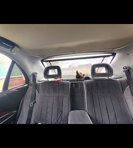Опель Омега, об'ємом двигуна 2 л та пробігом 320 тис. км за 2800 $, фото 5 на Automoto.ua