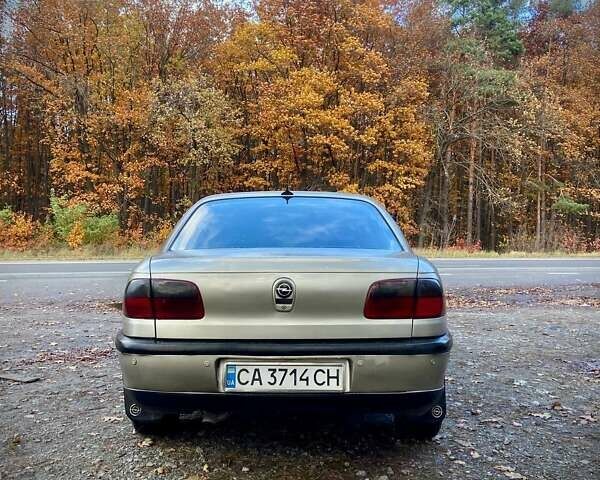 Опель Омега 1996 в Житомире на Automoto.ua Серый Опель Омега, объемом двигателя 2.5 л и пробегом 287 тыс. км за 1700 $, фото 4 на Automoto.ua
