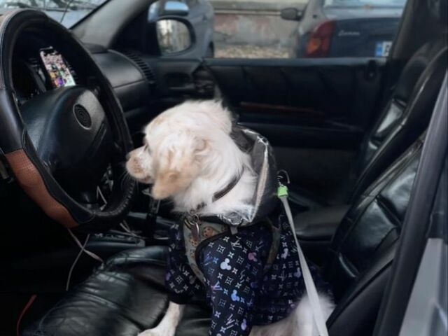 Сірий Опель Омега, об'ємом двигуна 2 л та пробігом 395 тис. км за 800 $, фото 4 на Automoto.ua