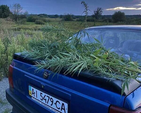 Синий Опель Омега, объемом двигателя 2 л и пробегом 251 тыс. км за 1650 $, фото 11 на Automoto.ua