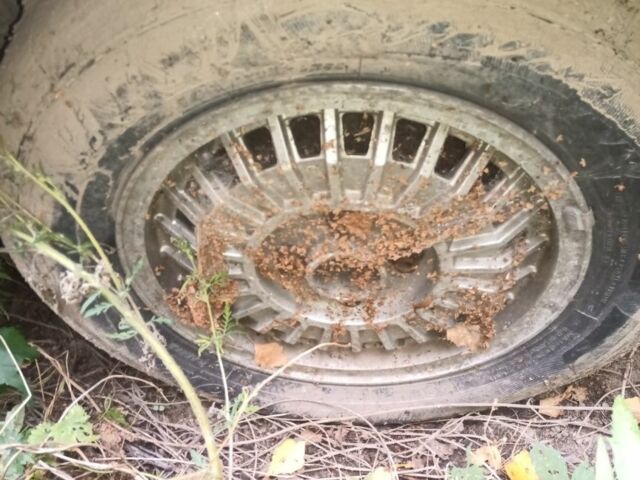 Червоний Опель Рекорд, об'ємом двигуна 2 л та пробігом 43 тис. км за 594 $, фото 7 на Automoto.ua