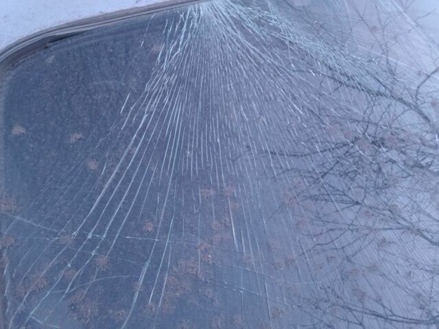 Сірий Опель Рекорд, об'ємом двигуна 0 л та пробігом 222 тис. км за 158 $, фото 1 на Automoto.ua