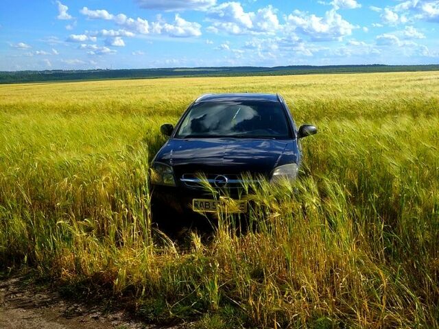 Черный Опель Сигнум, объемом двигателя 19 л и пробегом 0 тыс. км за 4300 $, фото 7 на Automoto.ua