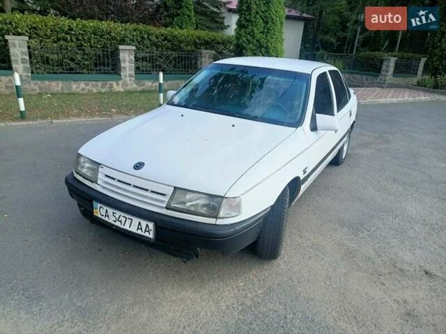 Опель Вектра 1989 в Умани на Automoto.ua Белый Опель Вектра, объемом двигателя 1.6 л и пробегом 300 тыс. км за 1700 $, фото 1 на Automoto.ua