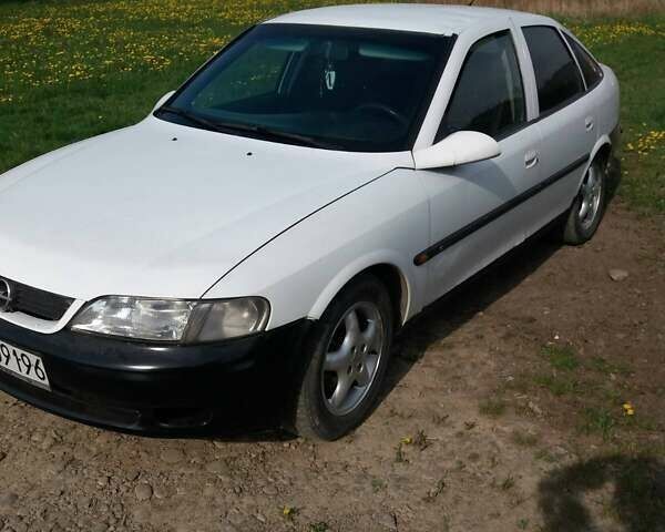 Белый Опель Вектра, объемом двигателя 0 л и пробегом 250 тыс. км за 1100 $, фото 2 на Automoto.ua