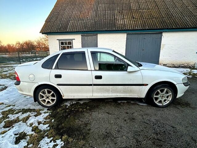 Белый Опель Вектра, объемом двигателя 1.8 л и пробегом 370 тыс. км за 1600 $, фото 3 на Automoto.ua