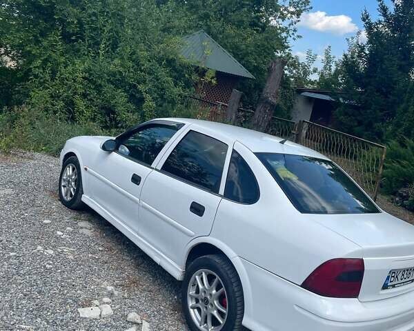 Опель Вектра 1999 в Гусятине на Automoto.ua Белый Опель Вектра, объемом двигателя 1.8 л и пробегом 280 тыс. км за 2400 $, фото 4 на Automoto.ua