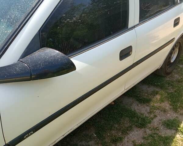 Опель Вектра 1998 в Ровно на Automoto.ua Белый Опель Вектра, объемом двигателя 1.6 л и пробегом 400 тыс. км за 1800 $, фото 1 на Automoto.ua