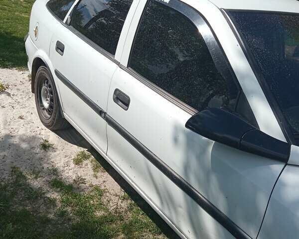 Опель Вектра 1998 в Ровно на Automoto.ua Белый Опель Вектра, объемом двигателя 1.6 л и пробегом 400 тыс. км за 1800 $, фото 2 на Automoto.ua